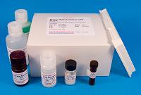 Preclinical / Animal Biomarker Assay Kits