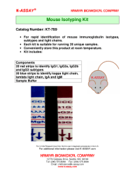 Mouse Isotoping Flyer