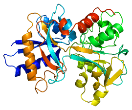 Microtransferrin